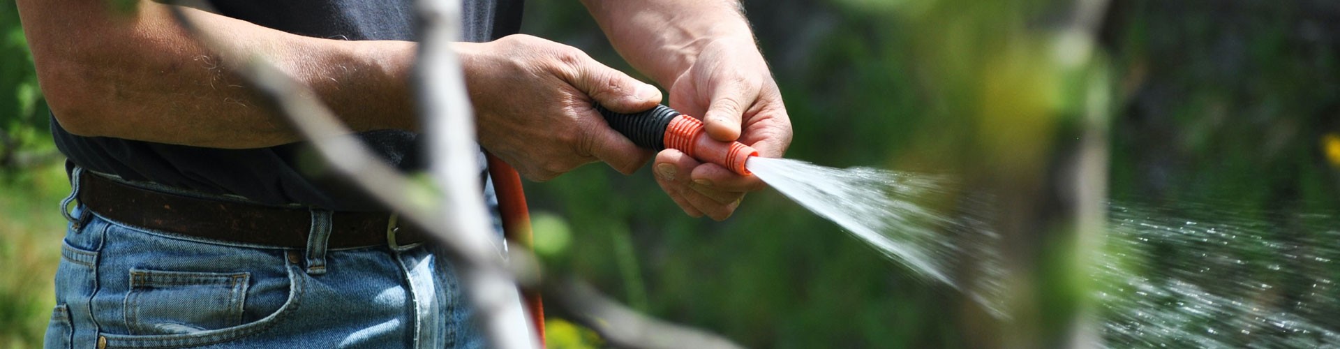 gardening