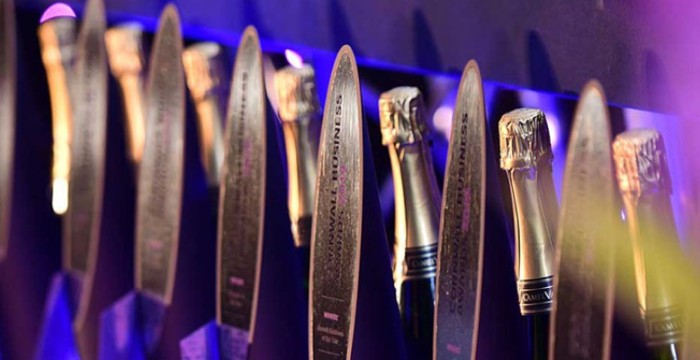 Cornwall Business Awards trophies