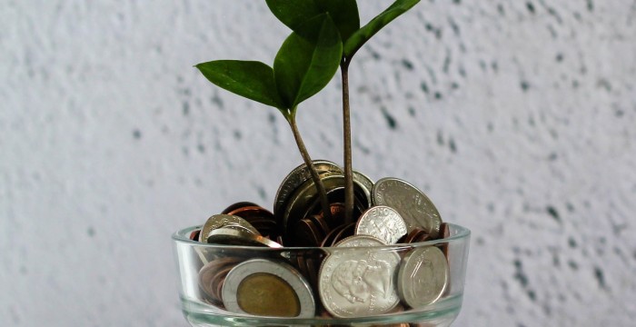 Seedlings growing from a pot of coins